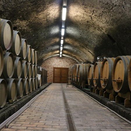 Villa Tolnay Vendeghaz Gyulakeszi Buitenkant foto