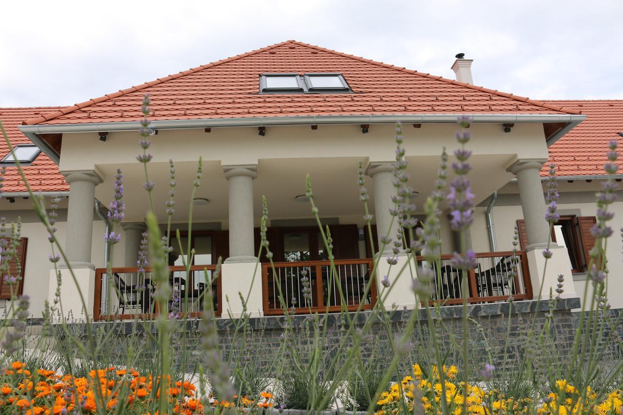 Villa Tolnay Vendeghaz Gyulakeszi Buitenkant foto