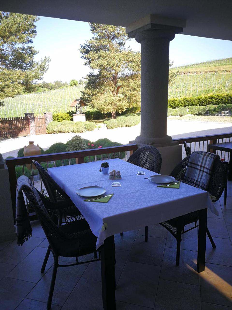 Villa Tolnay Vendeghaz Gyulakeszi Buitenkant foto